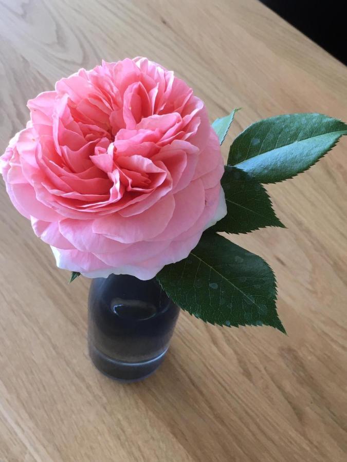 噶斯特豪斯温哥特落施埃菲尔酒店 雷温 外观 照片